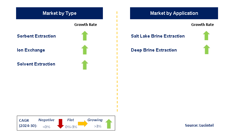 Direct Lithium Extraction Technology Service by Segment